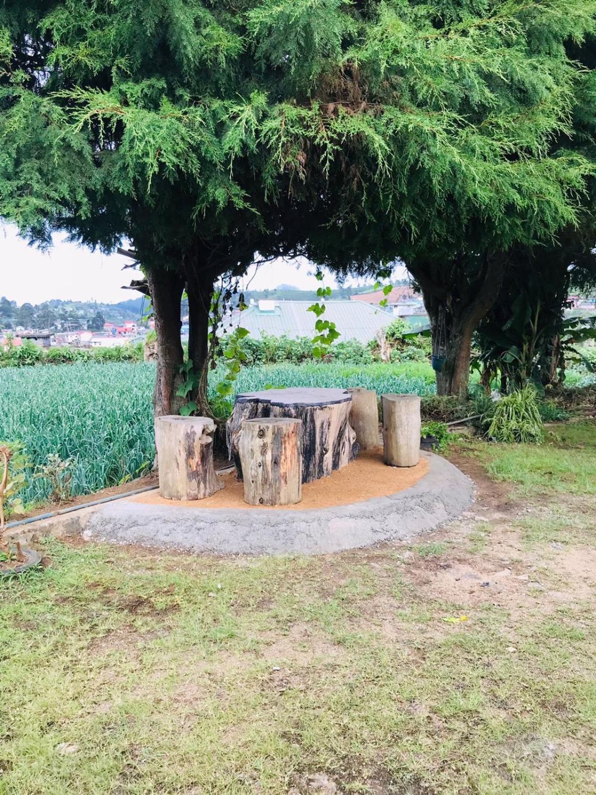 Silver Meir Bungalow Nuwara Eliya Eksteriør bilde
